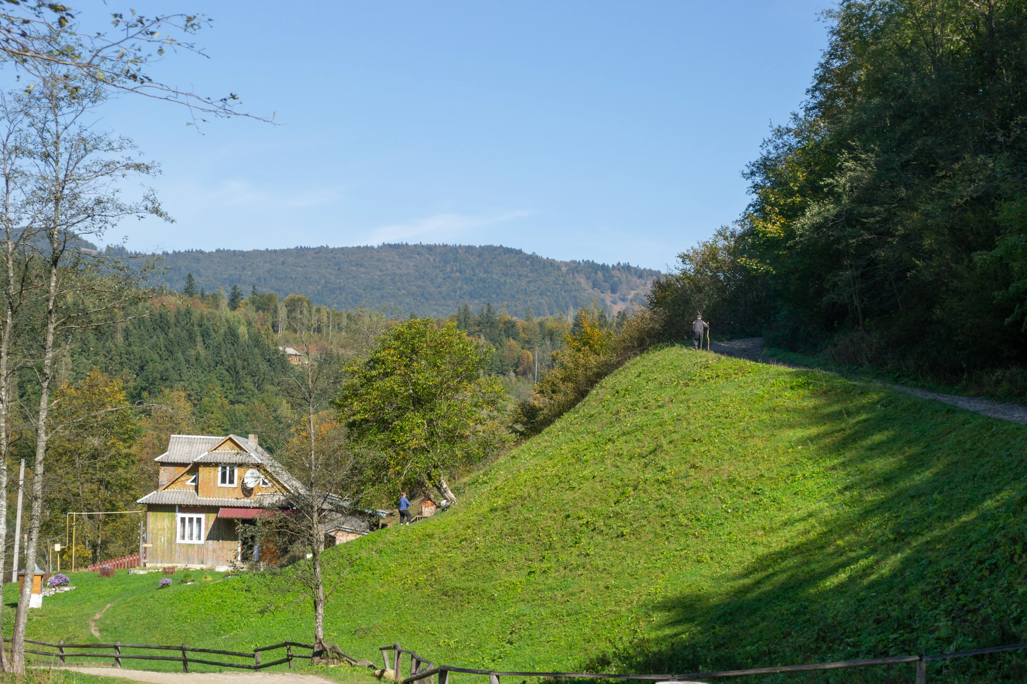 carpathian mountains in summer 159 — Скачать