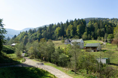 carpathian mountains in summer 160 — Descargar