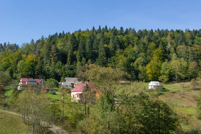 carpathian mountains in summer 161 — Descargar