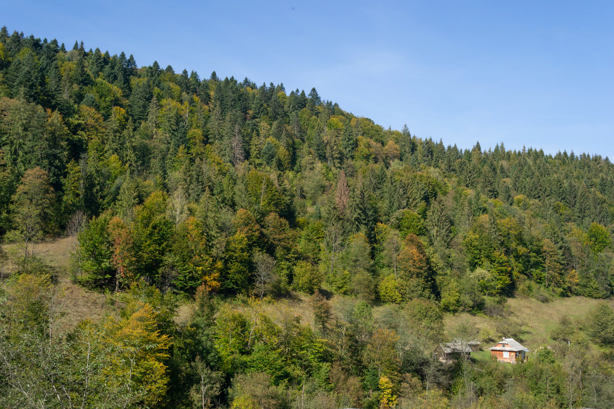 carpathian mountains in summer 163 — Descargar