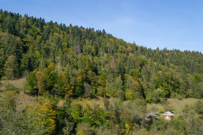 carpathian mountains in summer 163 — Descargar