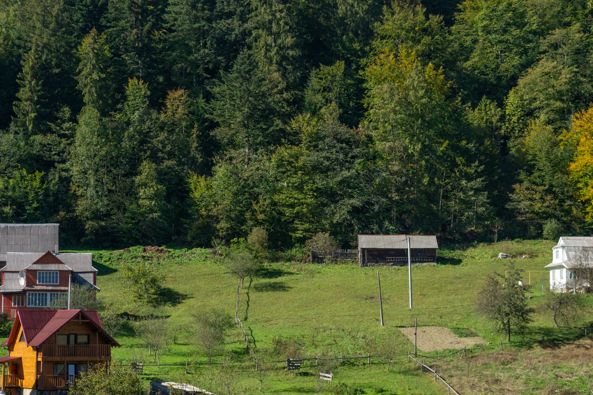 carpathian mountains in summer 164 — Скачать