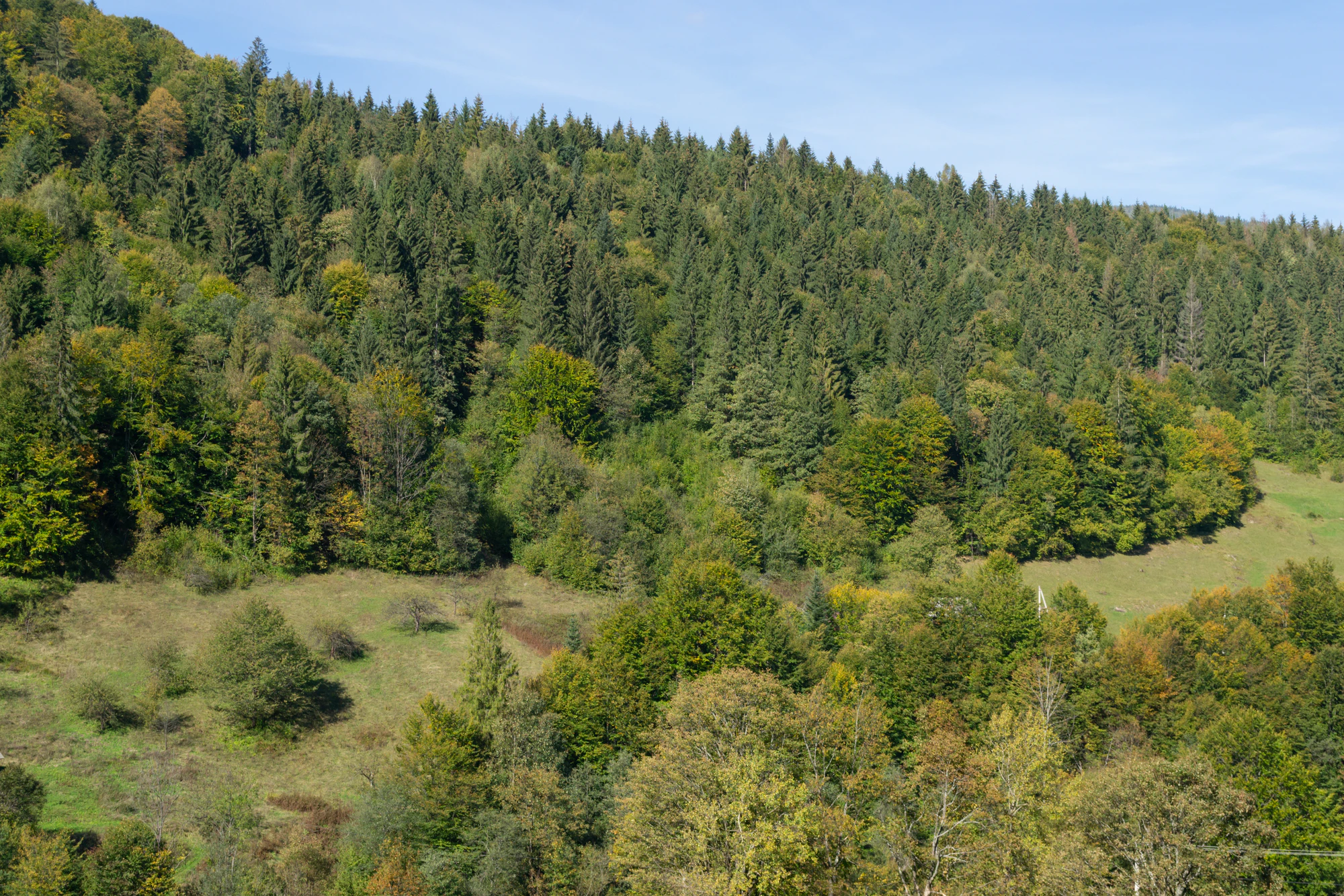 carpathian mountains in summer 165 — Скачать
