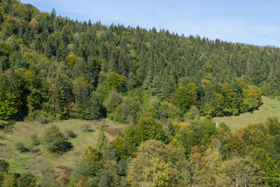 carpathian mountains in summer 165 — Скачать