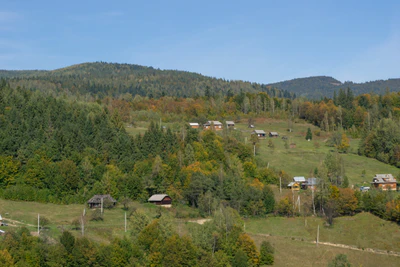 carpathian mountains in summer 167 — Скачать