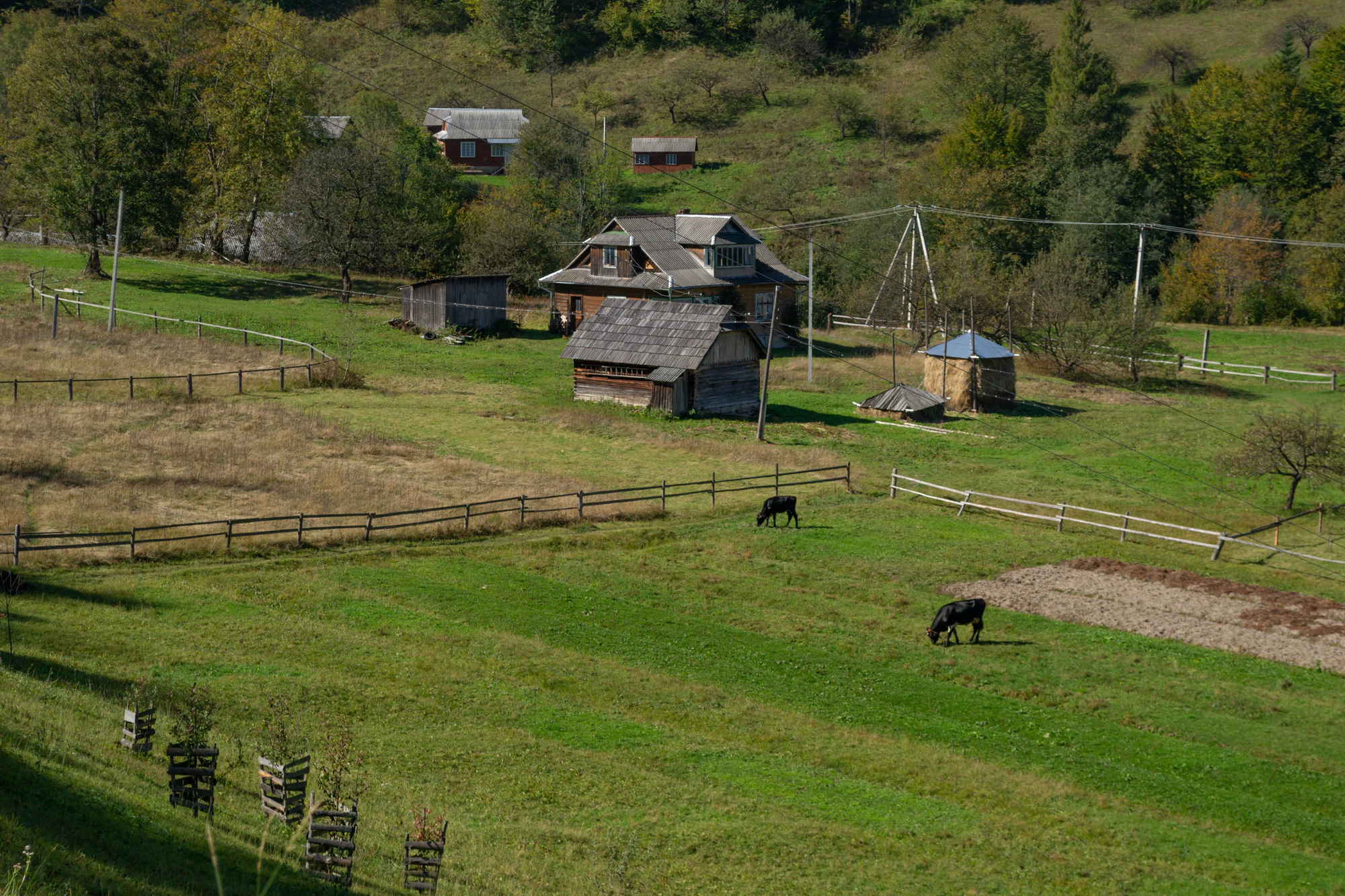 carpathian mountains in summer 168 — Descargar