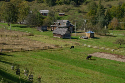 carpathian mountains in summer 168 — Descargar