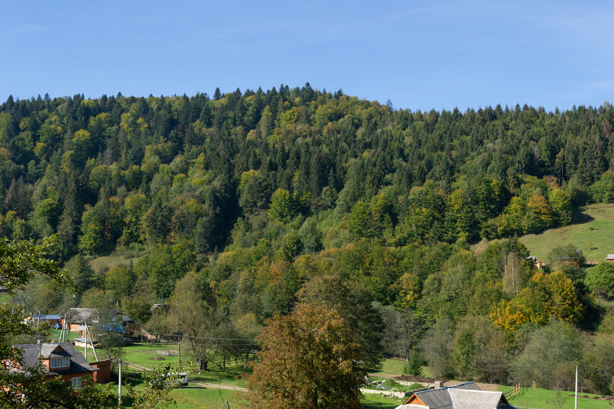 carpathian mountains in summer 169 — Descargar