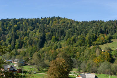 carpathian mountains in summer 169 — Descargar
