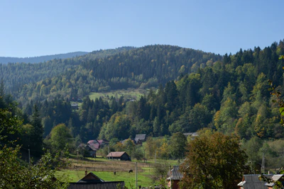 carpathian mountains in summer 170 — download