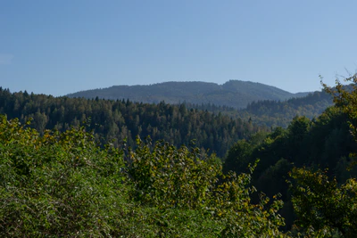 carpathian mountains in summer 174 — download