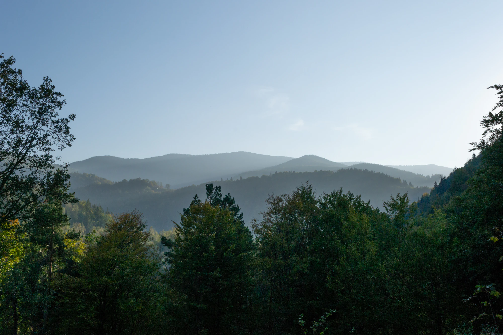 carpathian mountains in summer 177 — Скачать