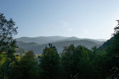 carpathian mountains in summer 177 — download