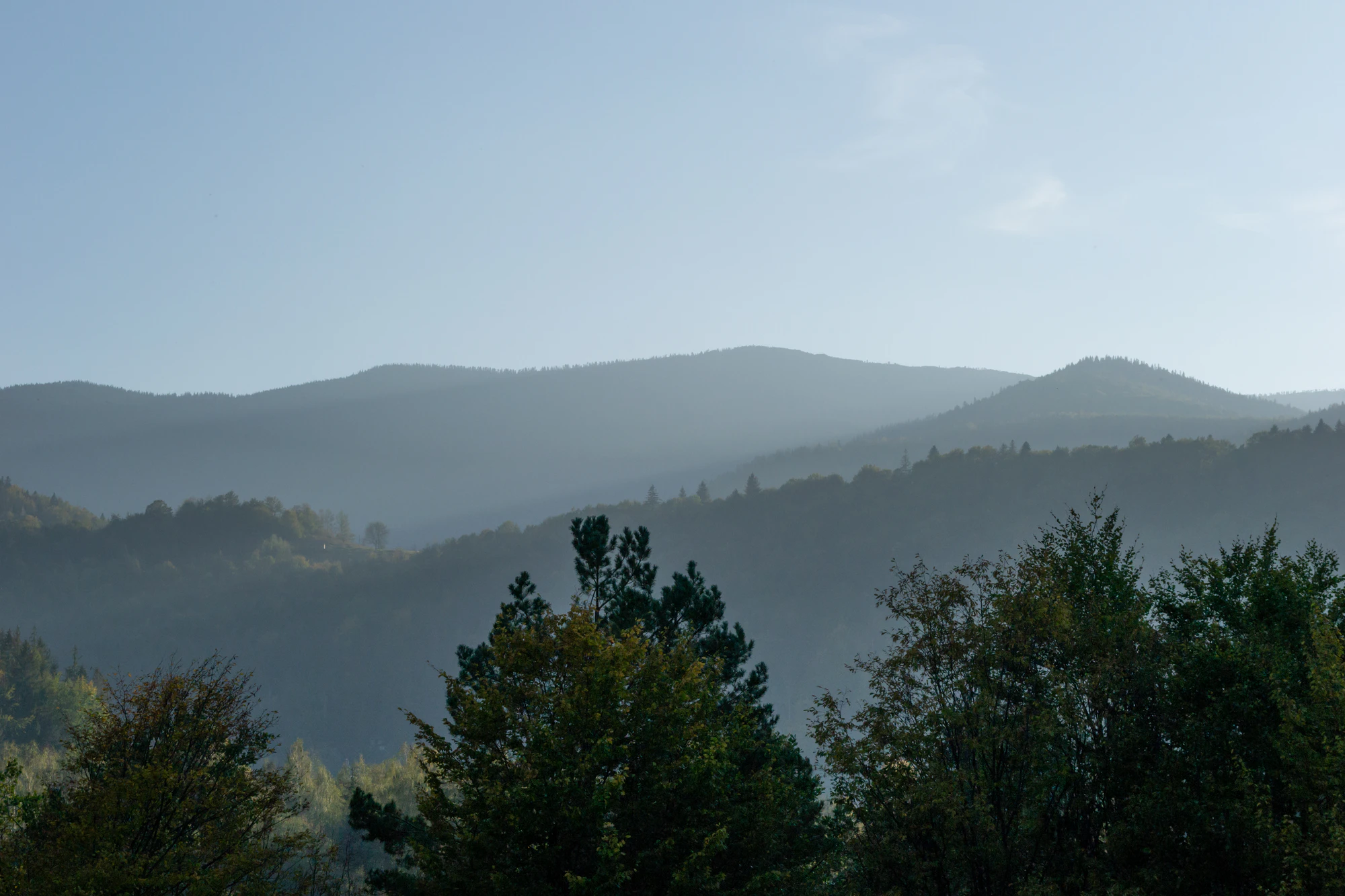 carpathian mountains in summer 178 — Download