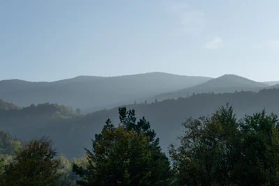 carpathian mountains in summer 178 — download