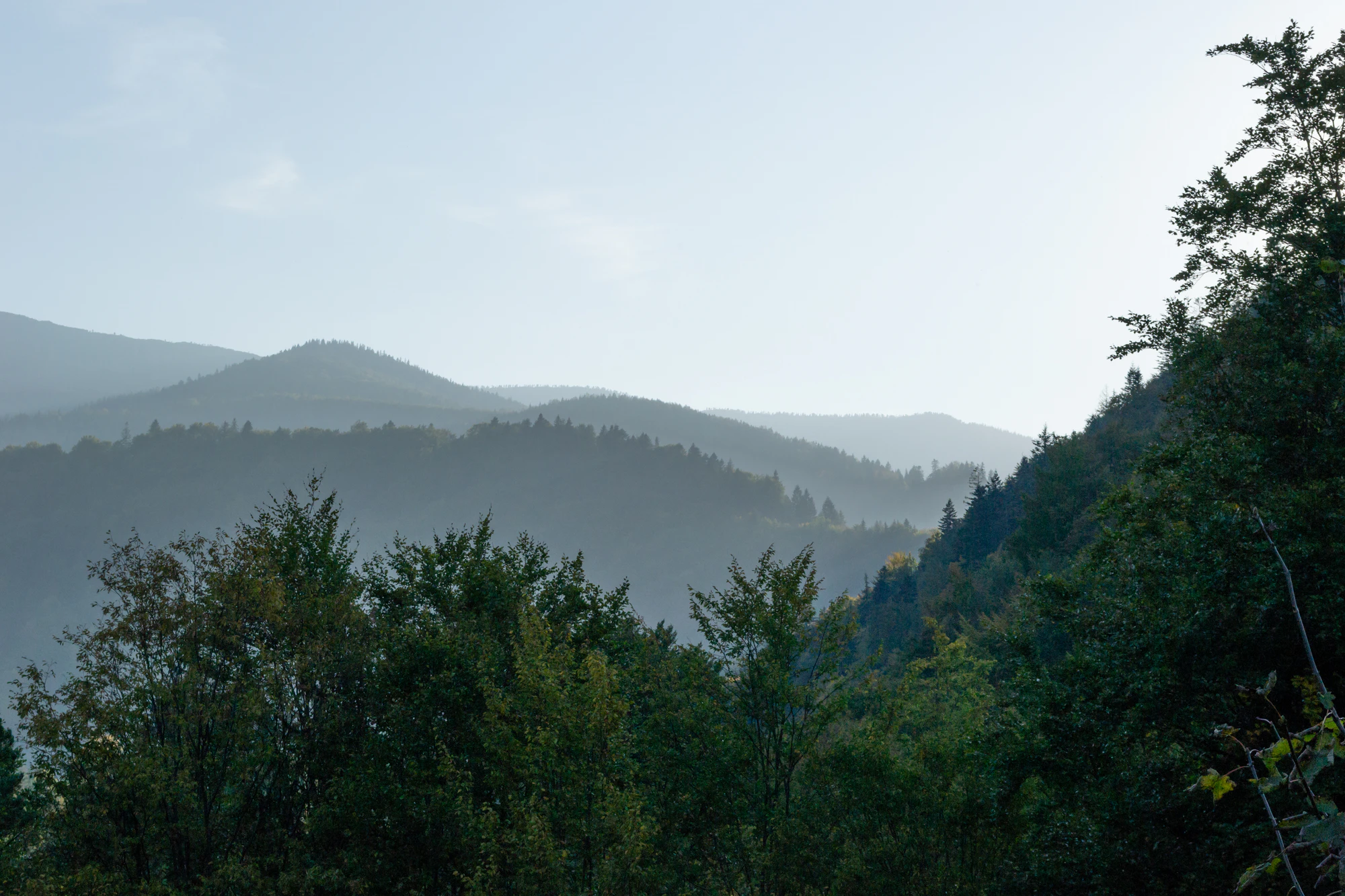 carpathian mountains in summer 179 — Скачать