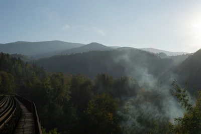 carpathian mountains in summer 182 — download