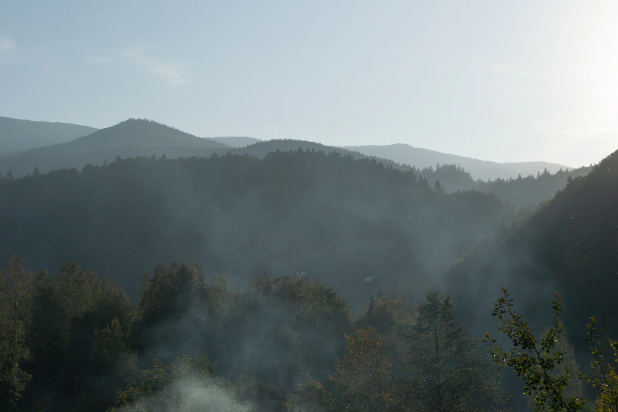 carpathian mountains in summer 183 — Скачать