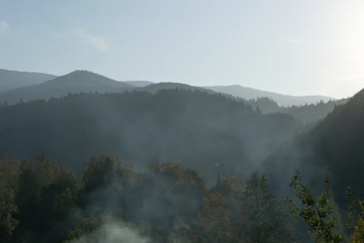 carpathian mountains in summer 183 — download