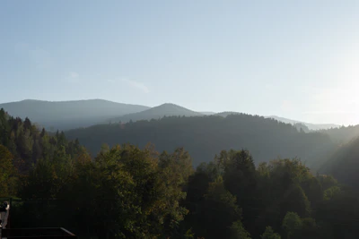 carpathian mountains in summer 185 — download