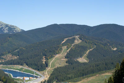 carpathian mountains in summer 186 — download