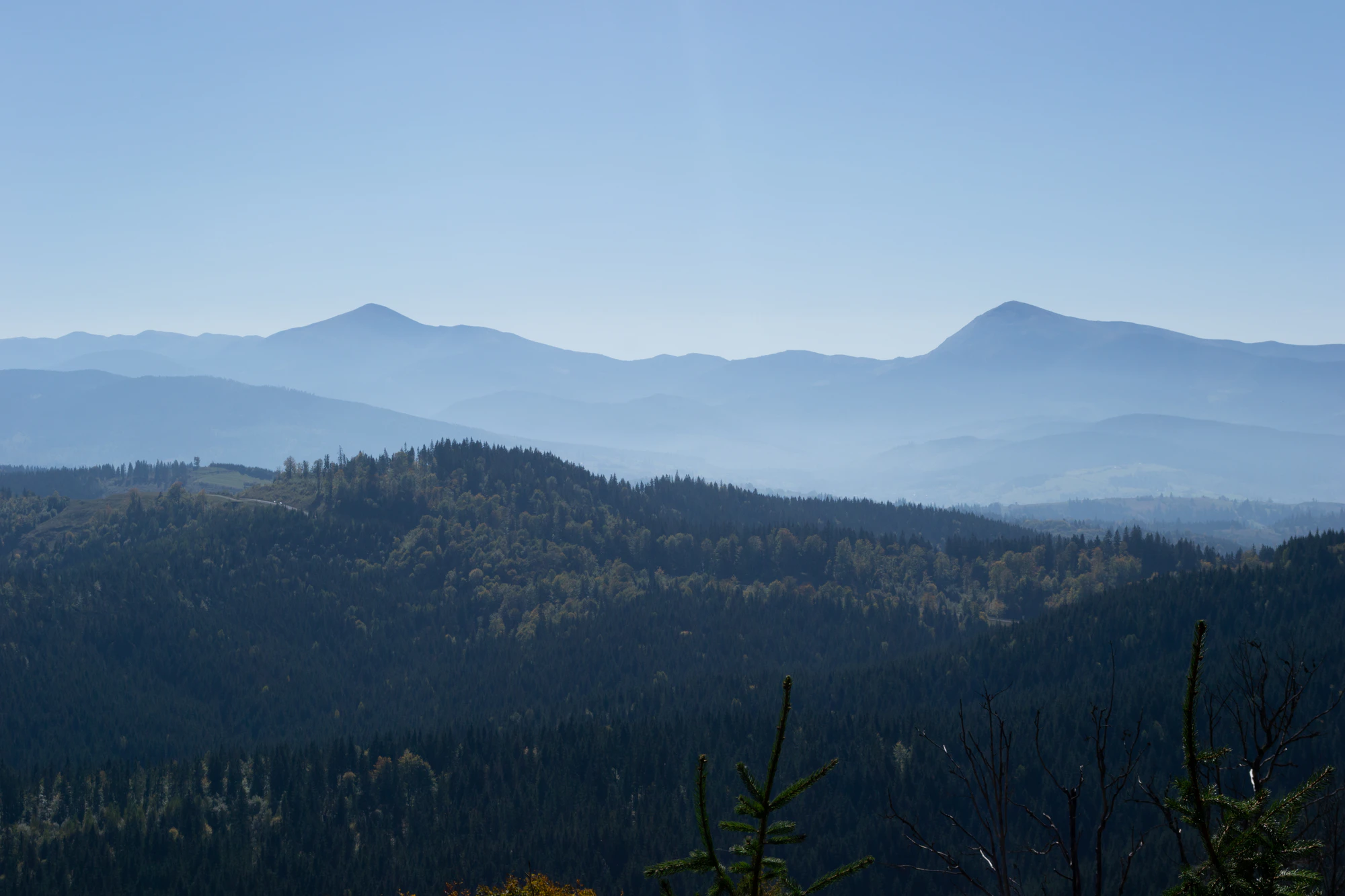 carpathian mountains in summer 190 — Descargar
