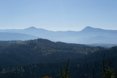 carpathian mountains in summer 190 — download
