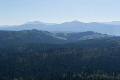 carpathian mountains in summer 192 — download