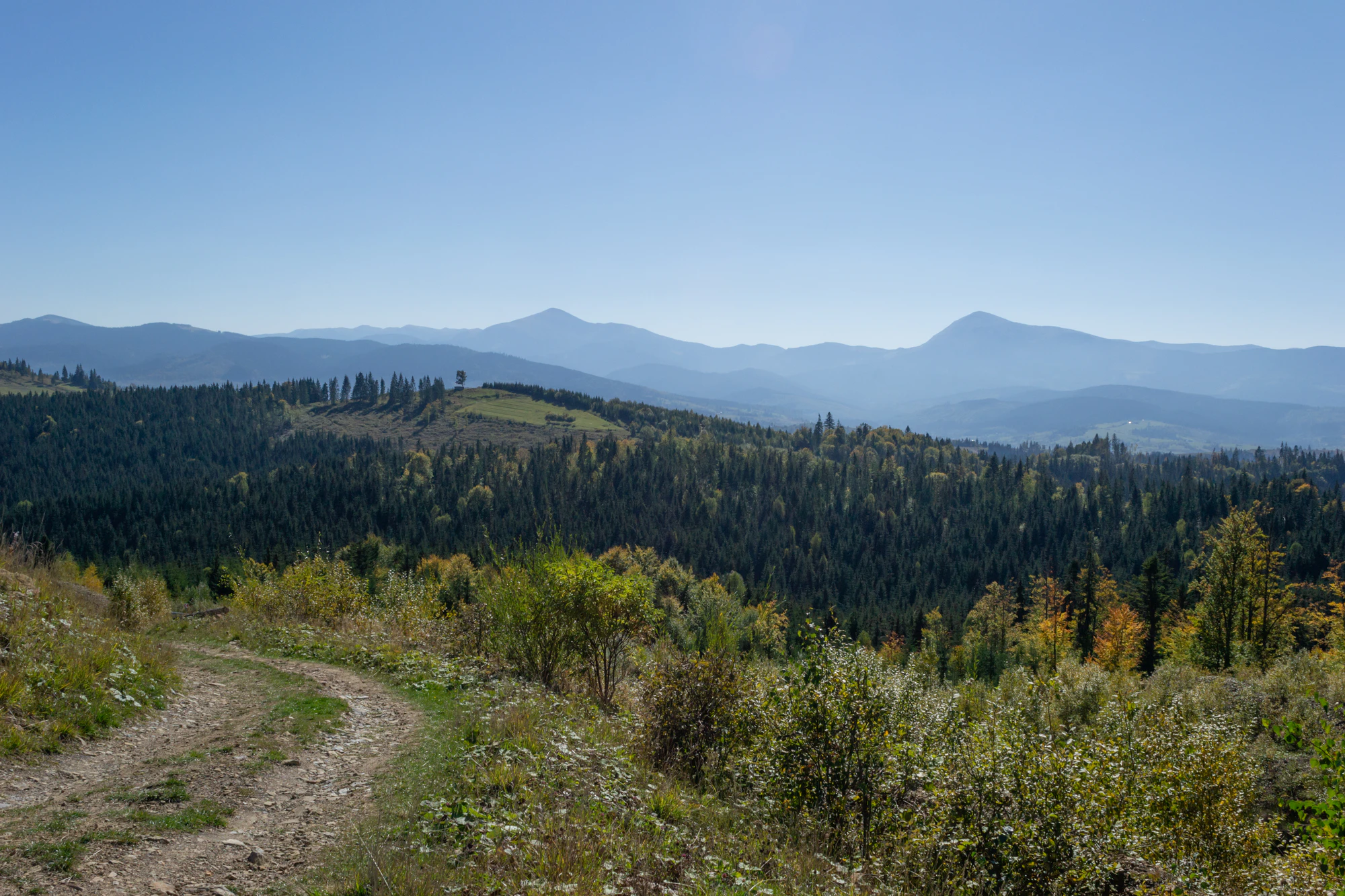 carpathian mountains in summer 197 — Скачать
