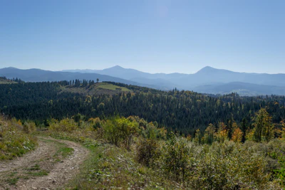 carpathian mountains in summer 197 — download
