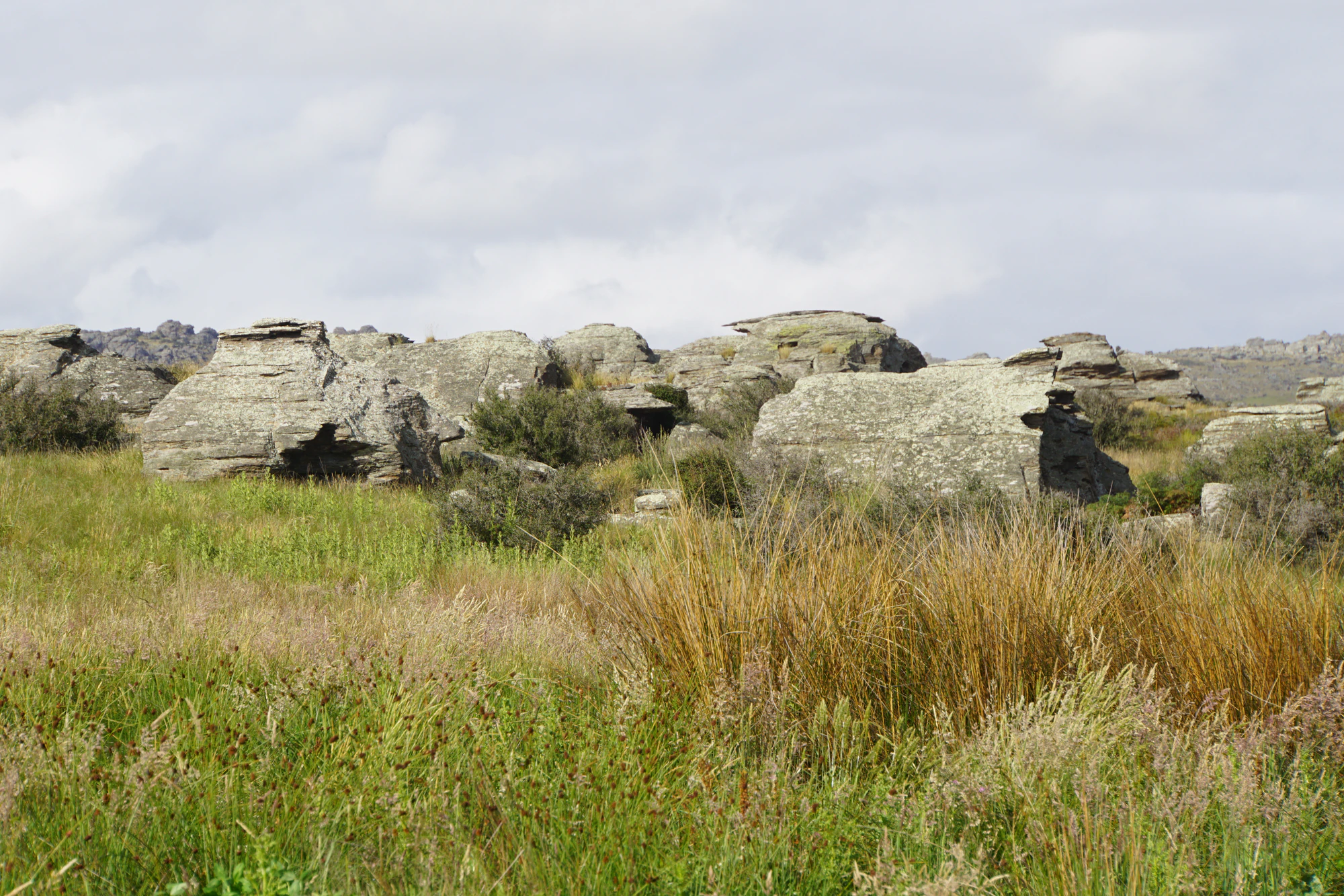 dry field rocks 010 — Descargar