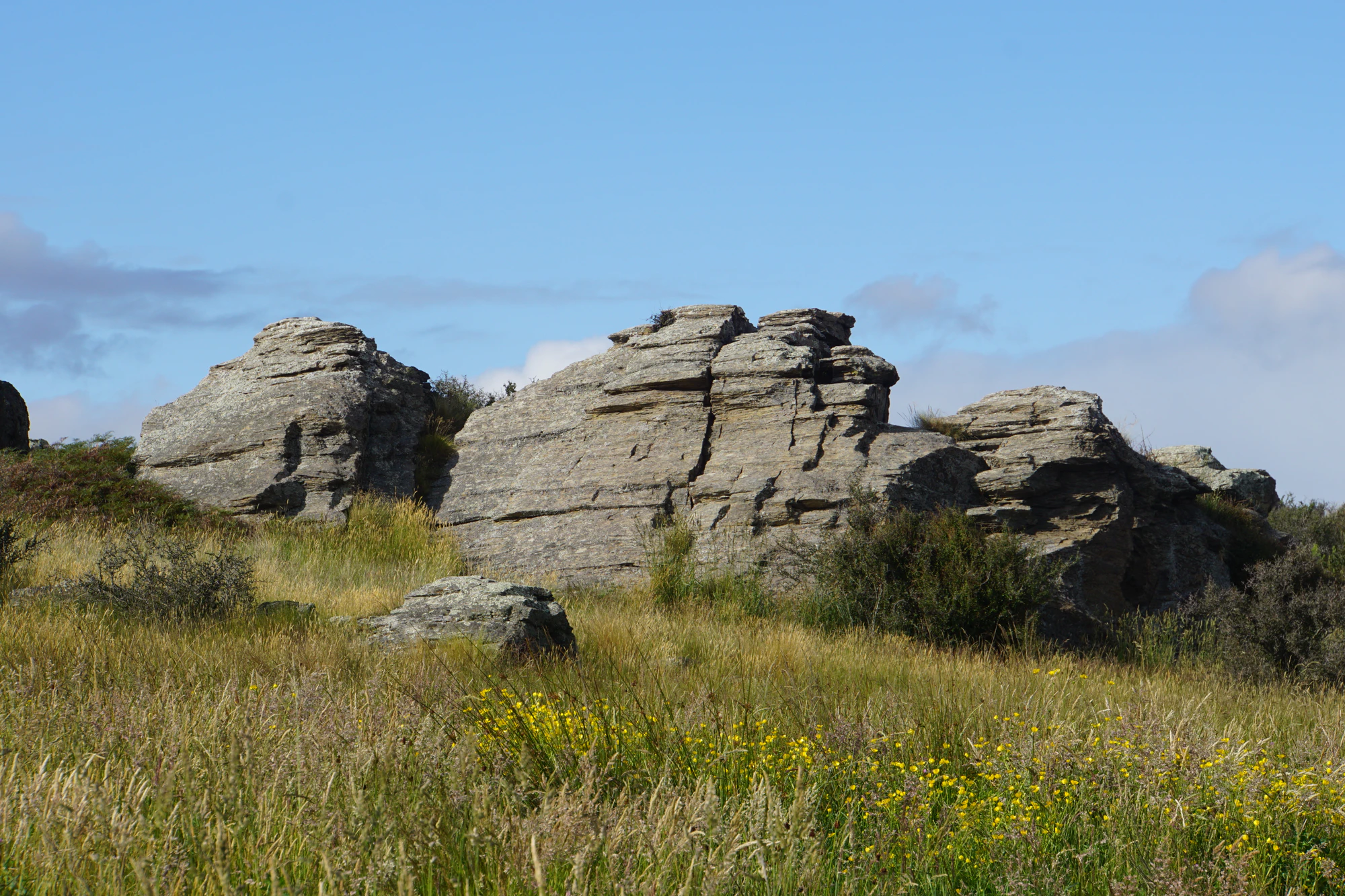 dry field rocks 011 — Скачать