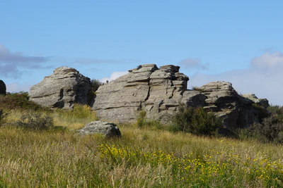 dry field rocks 011 — Скачать