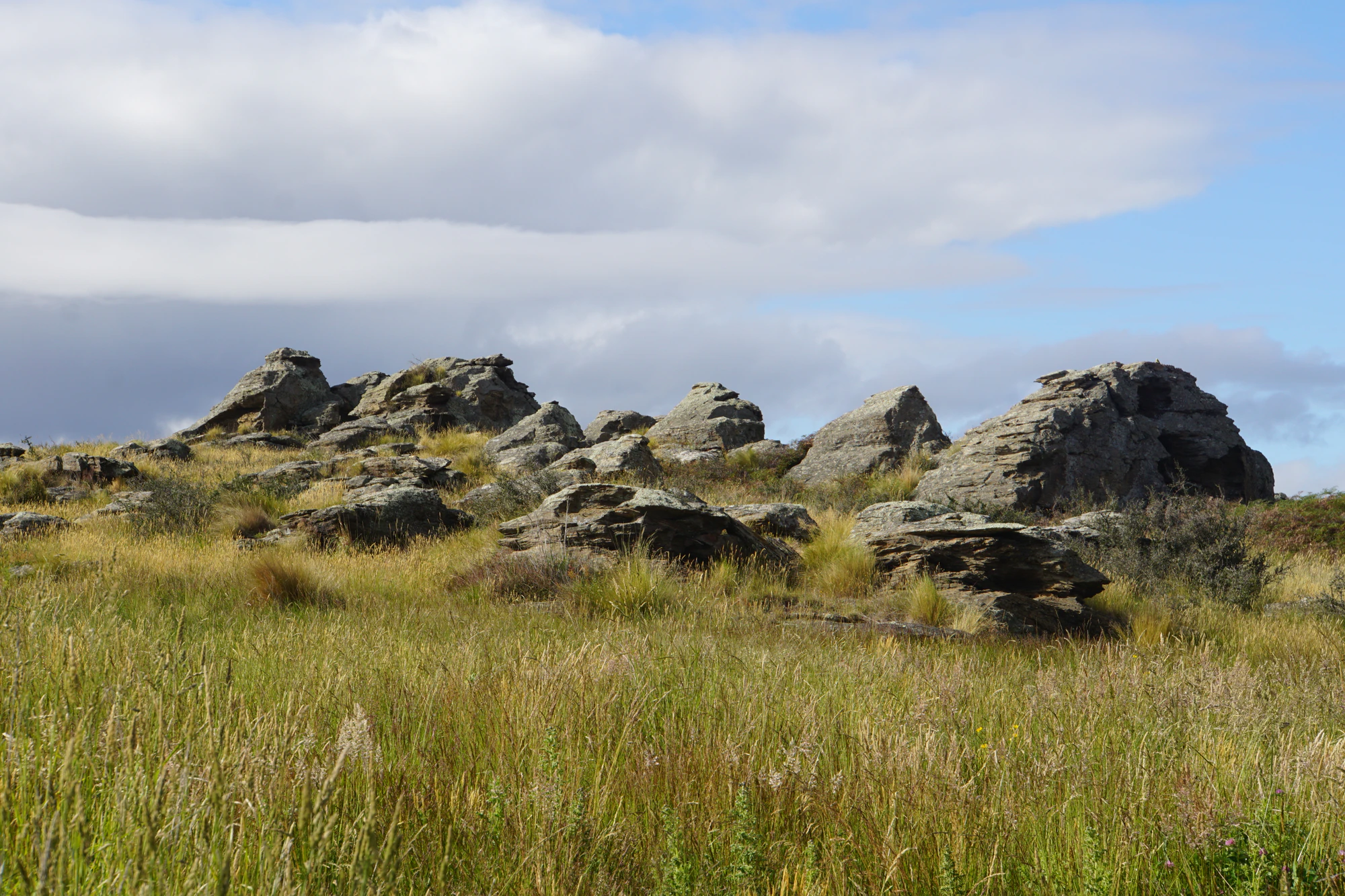 dry field rocks 012 — Скачать