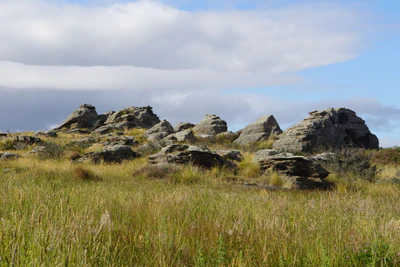 dry field rocks 012 — Скачать