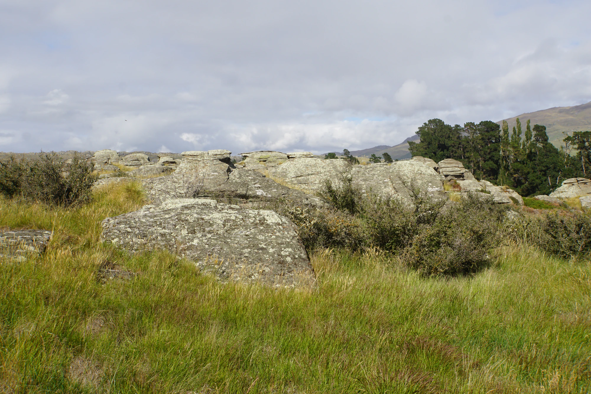 dry field rocks 016 — Скачать