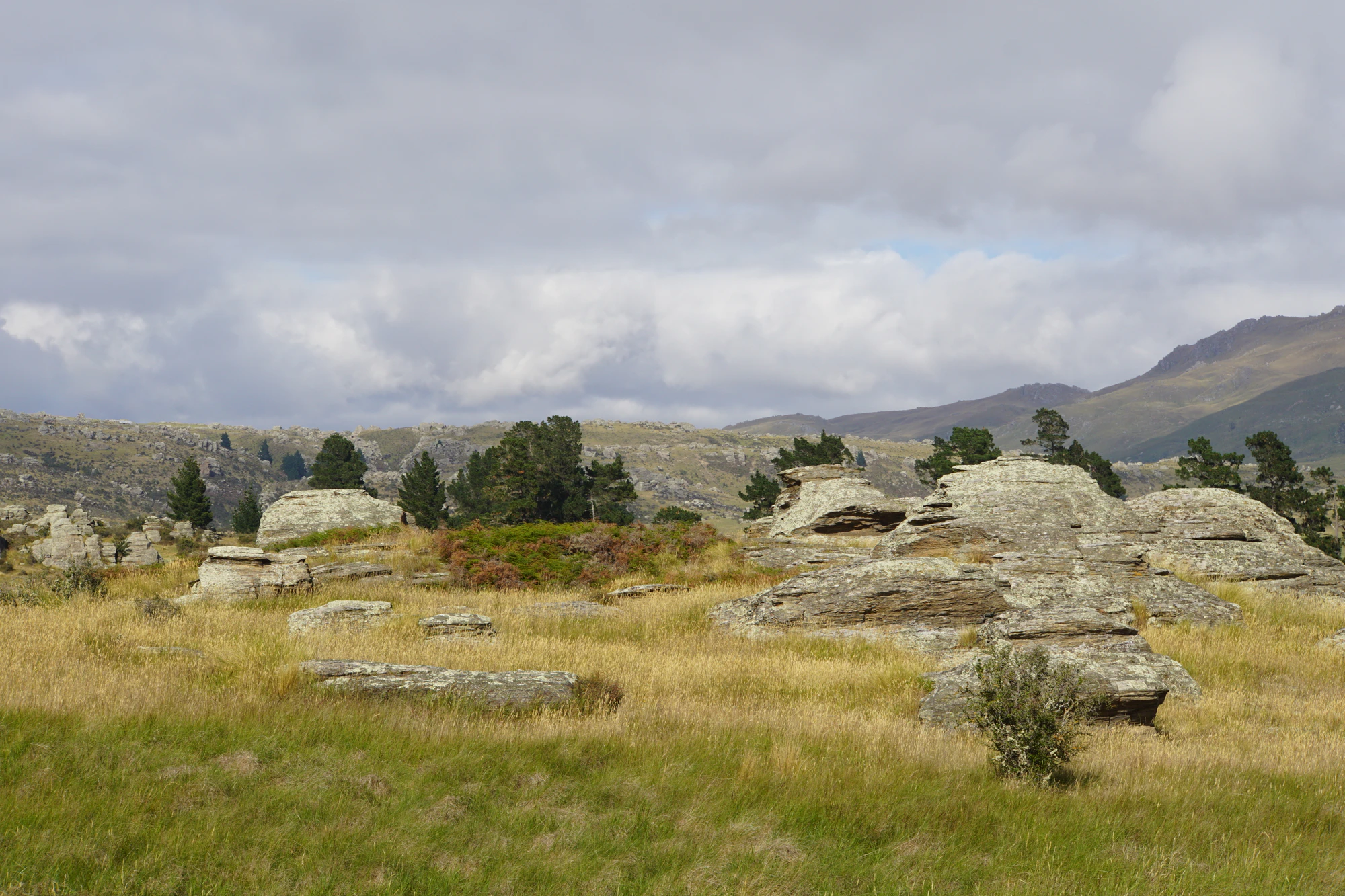 dry field rocks 018 — Скачать