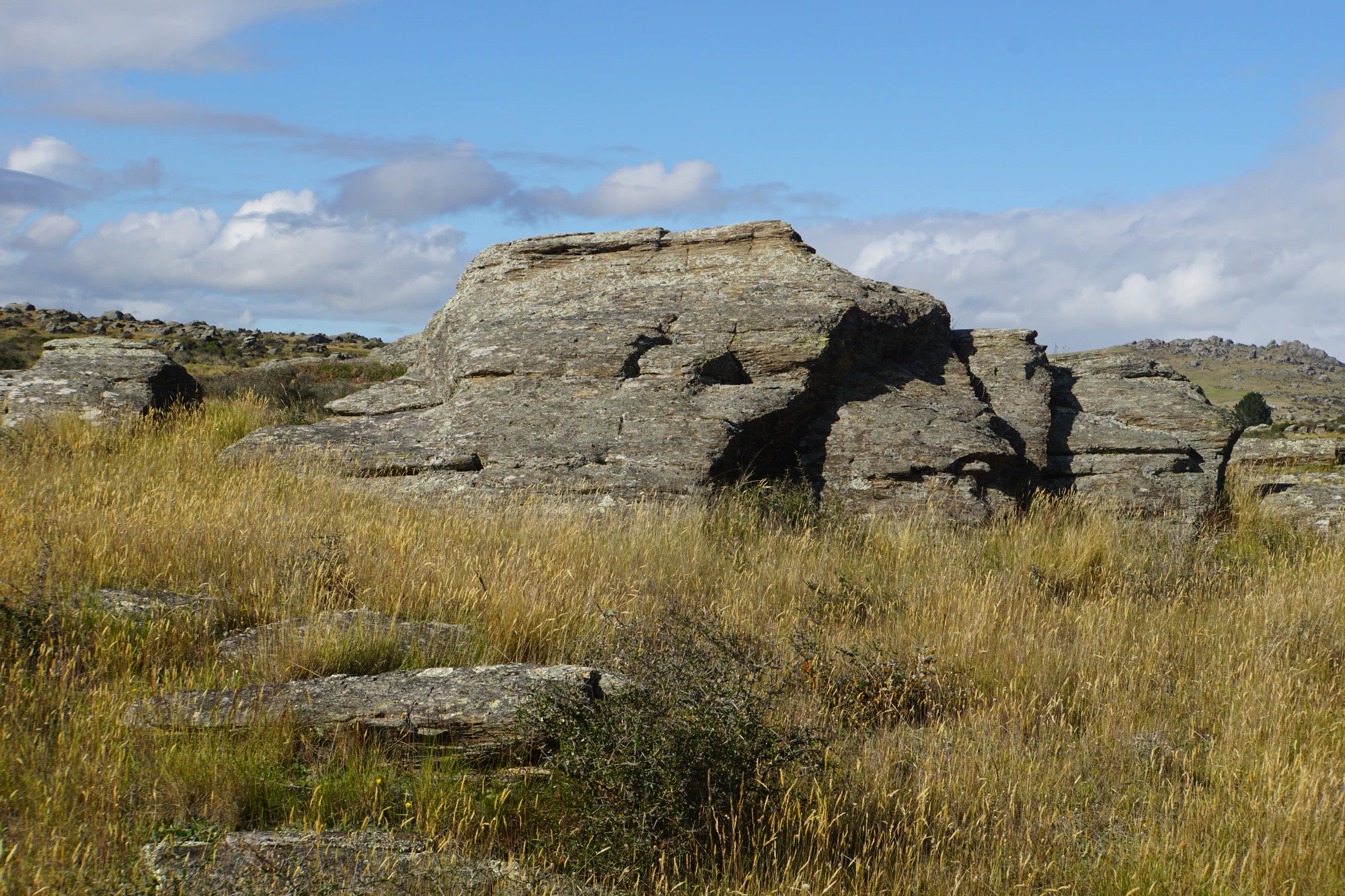 dry field rocks 019 — Descargar