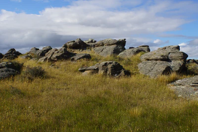 dry field rocks 020 — Скачать