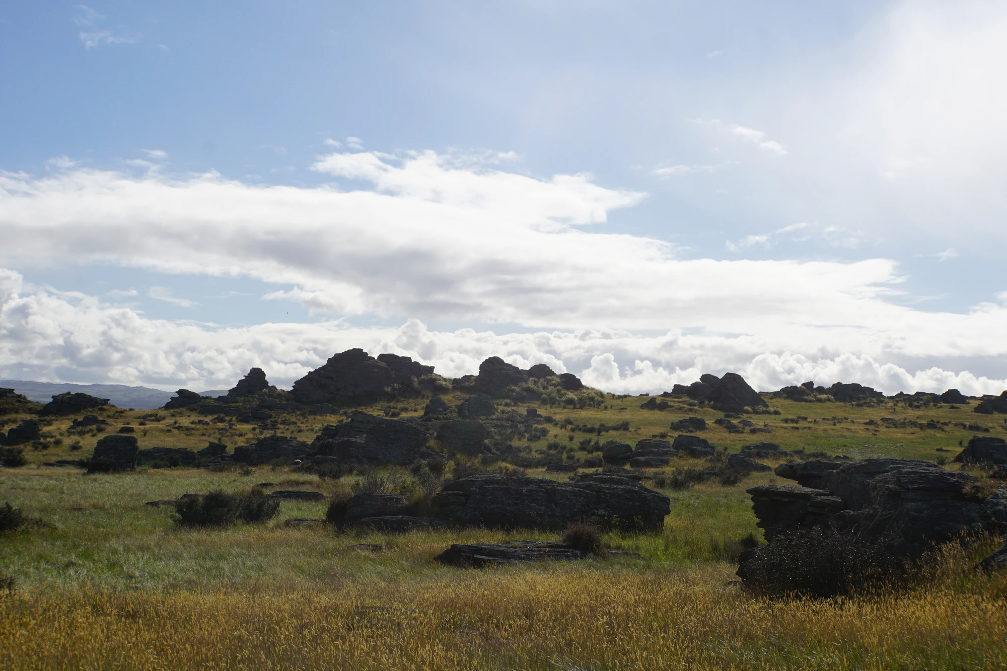 dry field rocks 021 — Скачать