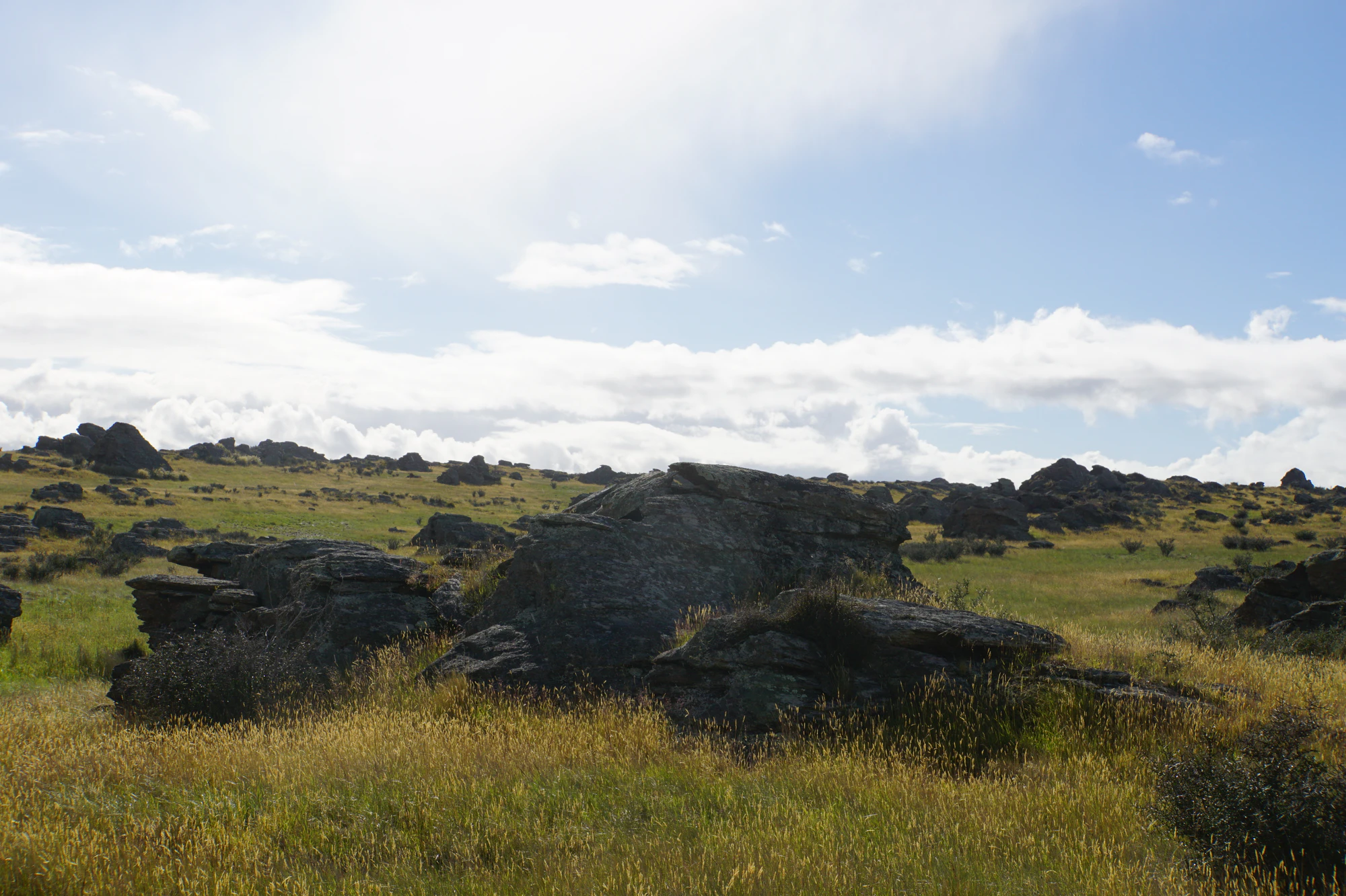 dry field rocks 022 — Скачать
