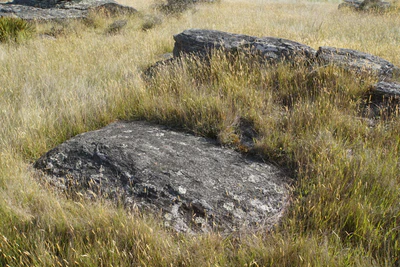 dry field rocks 023 — Скачать