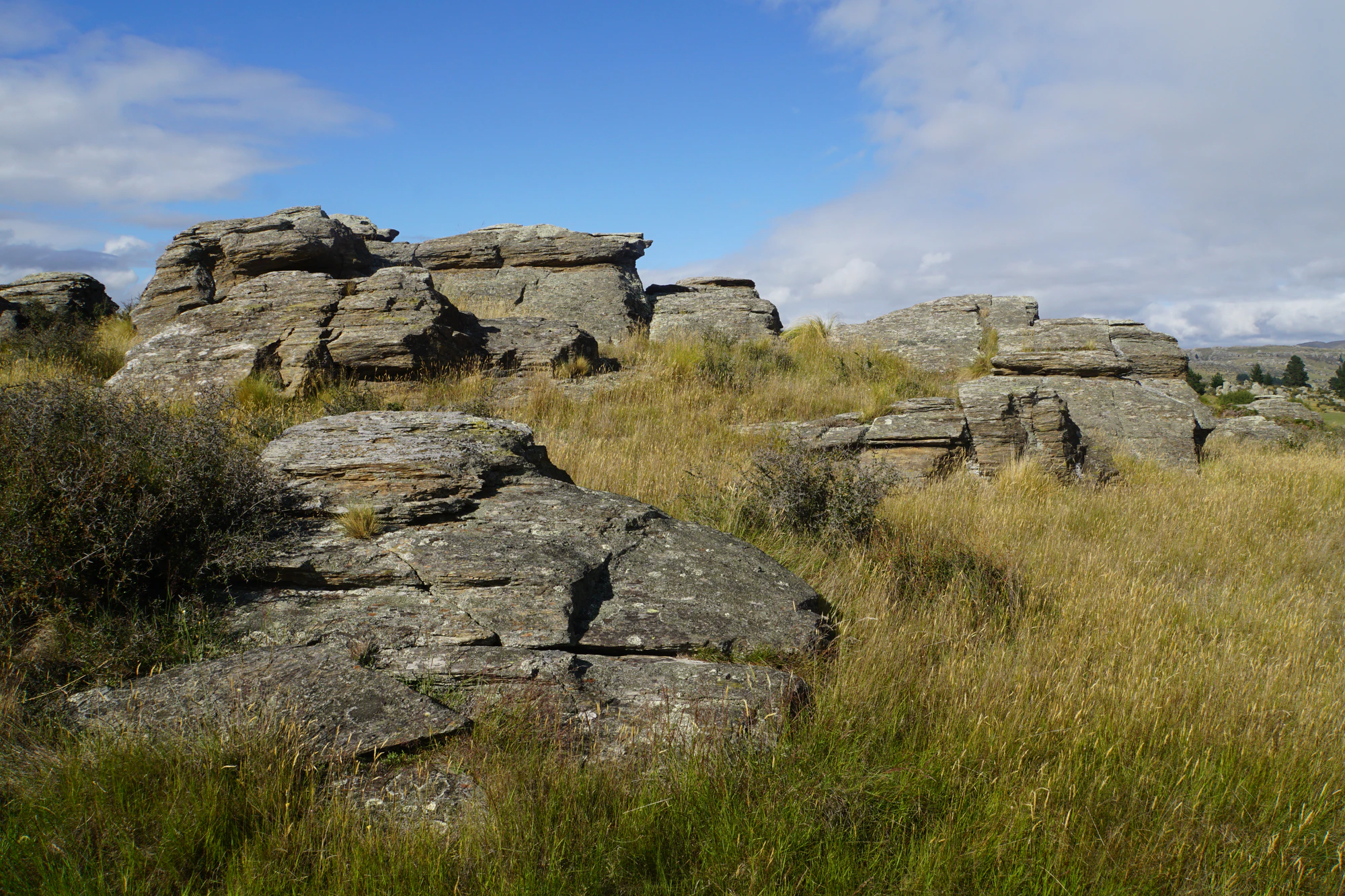 dry field rocks 024 — Скачать