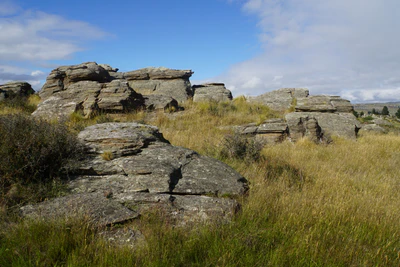 dry field rocks 024 — Скачать