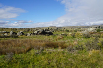 dry field rocks 025 — Descargar