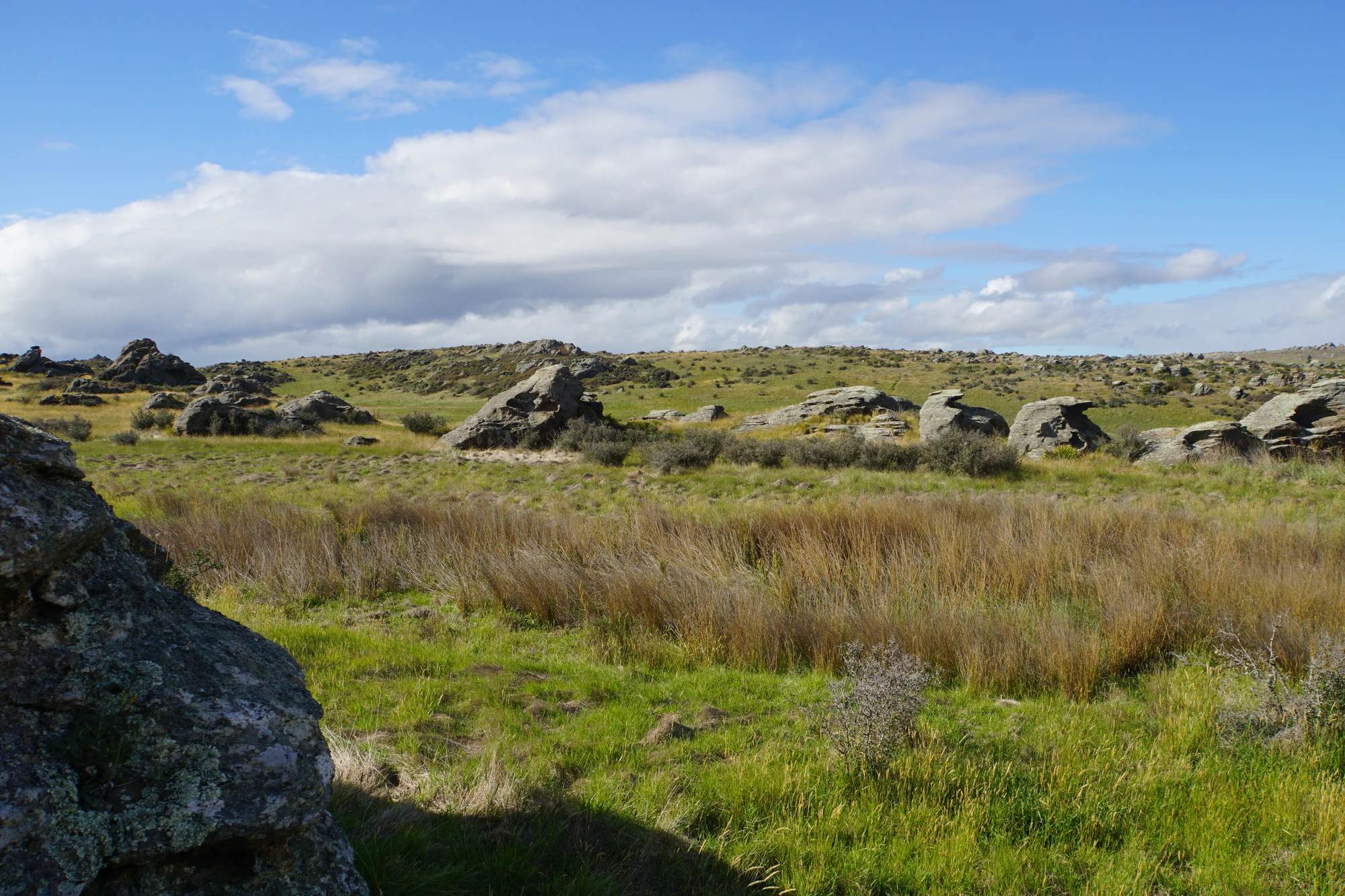 dry field rocks 026 — Descargar