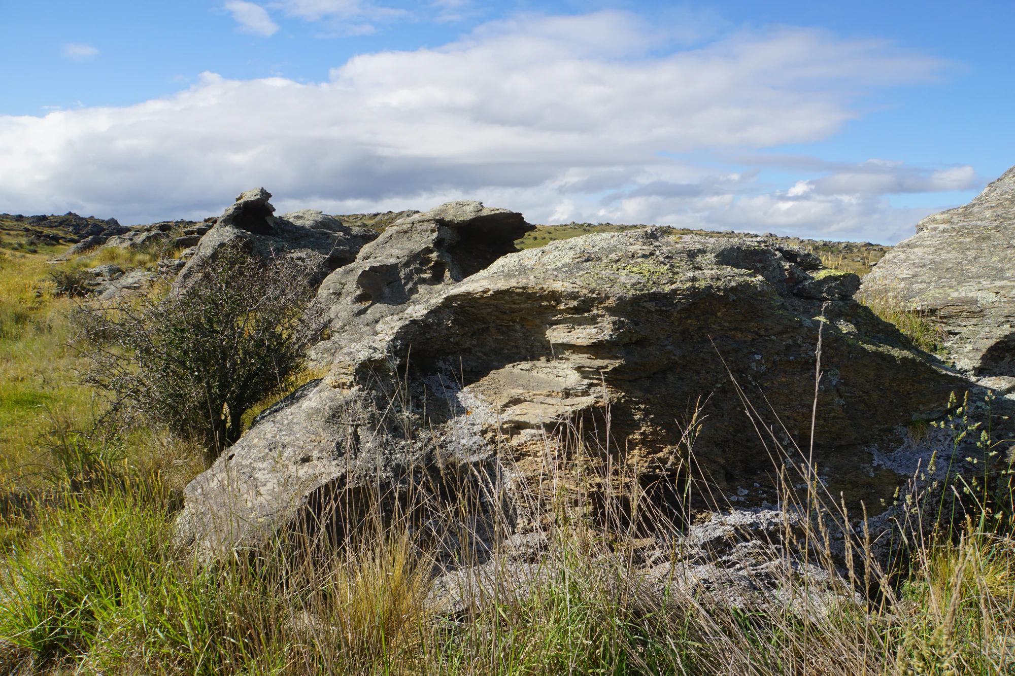 dry field rocks 028 — Descargar
