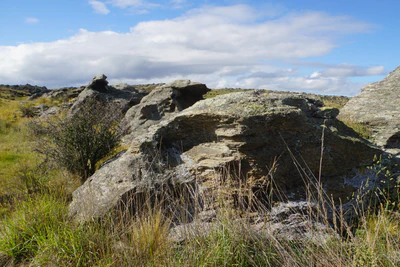 dry field rocks 028 — Descargar