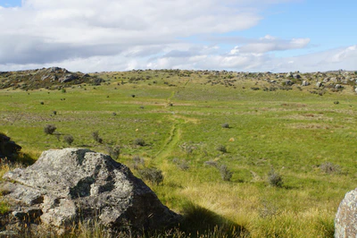 dry field rocks 030 — Скачать