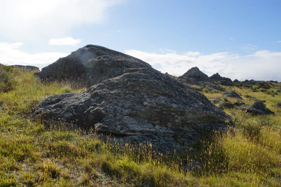 dry field rocks 031 — Descargar